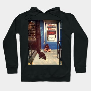 A boy and his dog, Sunset Park, Brooklyn, NYC Hoodie